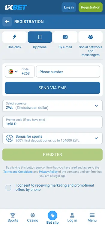 Step 4 - Provide phone number and email as required